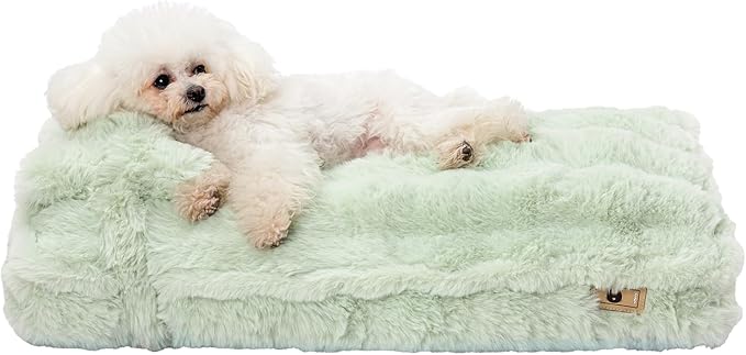 Jiupety Small Dog Bed, Mattress with Dog Pillow for Crate Small Dogs, Donut Calming Pet Beds. Plush Dog Crate Pad for Small Dogs Up to 25 Lbs, M(30"*19"*3"), Green.