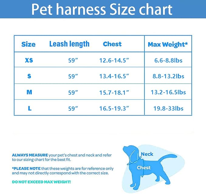 Cat and Small-Medium Dog Harness, No-Pull Pet Vest with Leash for Walking, Puppy Harness Set, Step-in Dog Harness for Small Breeds, Adjustable Mesh Harness