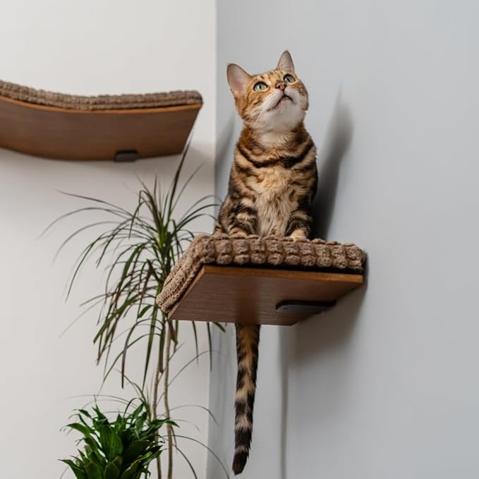 Kitsune Garden Cat Step, Cat Wall Furniture, Wall Mounted Shelf, Cat Wall Shelf, Cat Shelves, Cat Bed, Cat Shelf, Cat Steps for Wall, Brown (Step)