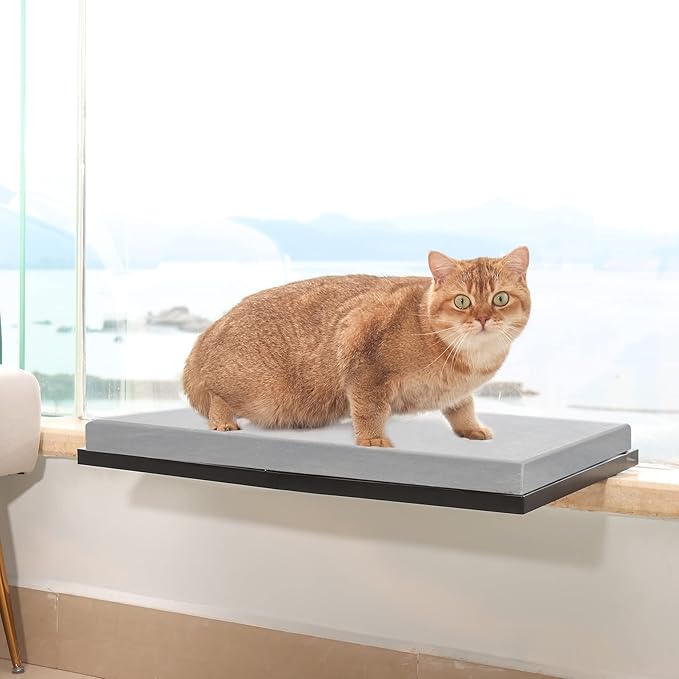 Cat Window Hammock, Metal Cat Hammock Window Seat with Soft Cushion, Window Sill Cat Perch, Kitty Sill for Two Big Cats, 360° Sunny Seat Space Saving Cat Beds Window Perch Shelf for Indoor Cats(Grey)