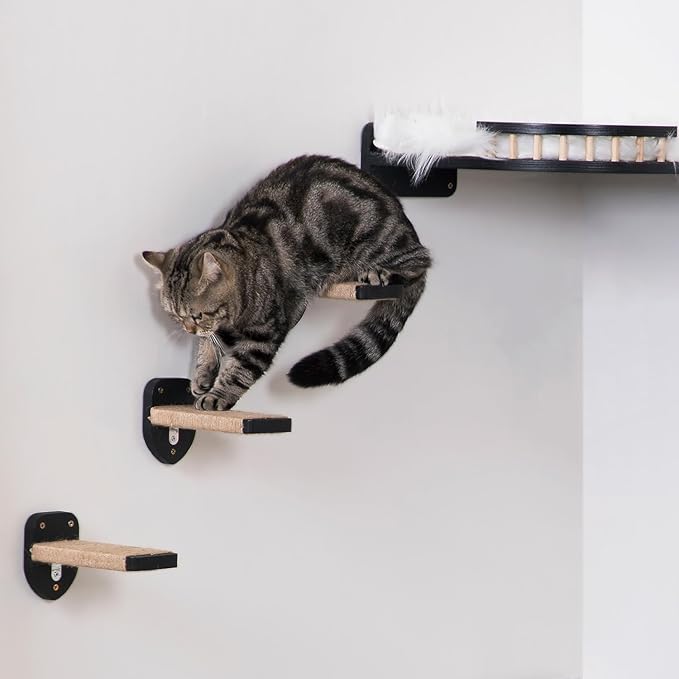 3pcs Cat Wall Steps, Cat Climbing Wall Mounted Cat Furniture, Cat Wall Shelves Cat Steps for Wall with Hemp Rope Covered, Solid Wood Cat Ladder for Cats Playing and Climbing (Large-Black)
