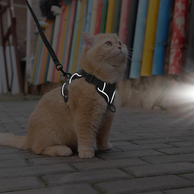 Cat Harness and Leash Set: Upgraded Escape Proof Vest with Lead for Large Cat Small Dog Puppy Walking, Soft Jacket Reflective Strips, Black (XL)