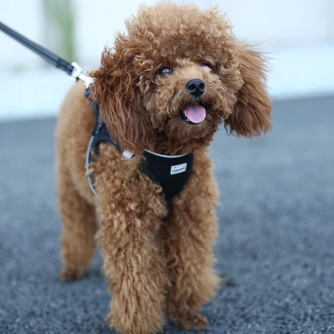 Soft Mesh Dog Harness and Leash Set, Step-in Reflective Breathable Comfort Padded Quick Dry Pet Puppy Vest Harness for Extra-Small/Small Medium Dogs and Cats (Black, L)