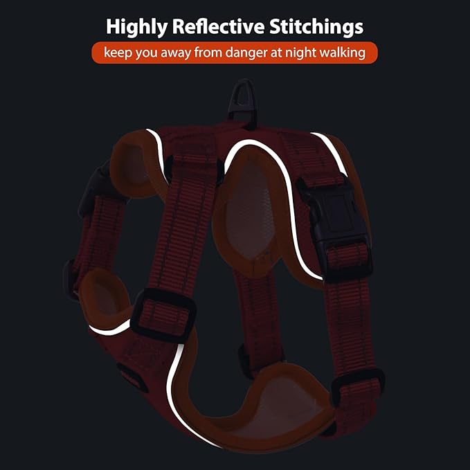 Rttochfy Cat Harness and Leash Set, Adjustable and Reflective Cat Vest, Escape Proof Kitten Harness, Easy to Put on with 3 Buckles for Cats Walking and Traveling (Orange, S)