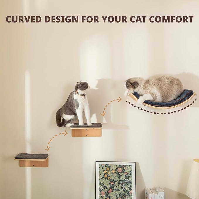 Cat Wall Shelf with Two Steps - Curved Cat Shelves and Perches for Wall (Large Size) - Wall Mounted Cat Furniture for Sleeping, Playing, Climbing, and Lounging