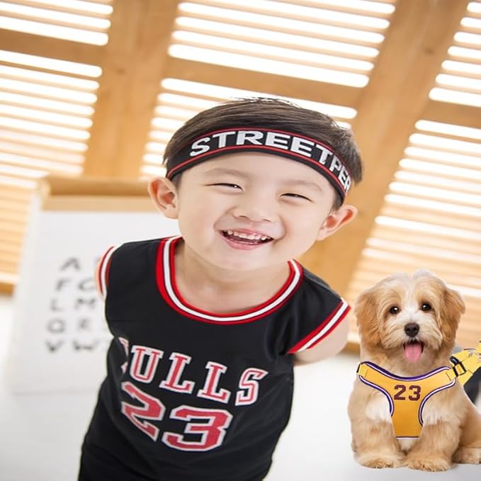 Dog Vest Harness Breathable-Escape Proof Dog Harness -Adjustable Reflective Number Dogs Vest with Outdoor Pet Leash, Easy Control for Small,Medium Breeds (Yellow,M)