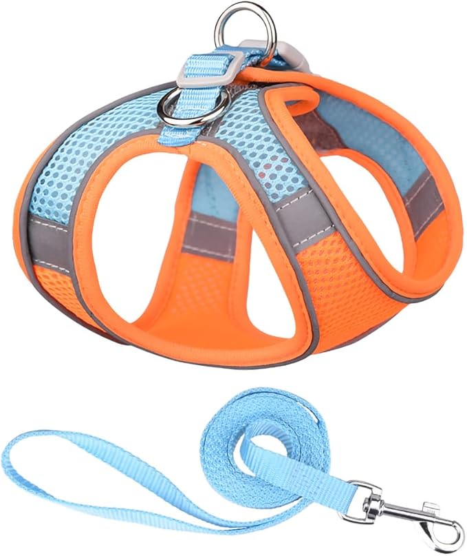 Cat and Small-Medium Dog Harness, No-Pull Pet Vest with Leash for Walking, Puppy Harness Set, Step-in Dog Harness for Small Breeds, Adjustable Mesh Harness