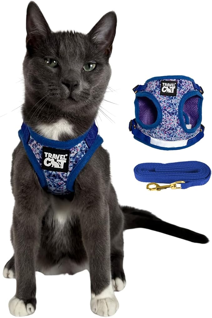 Travel Cat Harness and Leash Set - Adjustable Fit Mesh Cat Harness and Reflective Strap - Comfort Escape Proof Harness for Cats, Kitten for Outdoor Walking, Hiking (Extra Small, Groovy)