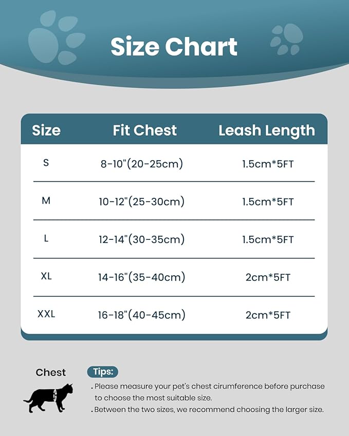 FAYOGOO Cat Harness, Cat Leash and Harness Set for Walking Escape Proof, Harness for Small Cats/Small Dogs, Large Kitten/Puppy Harness and Leash, Harness for Cats S-XXL(Tranquil Teal, Large)