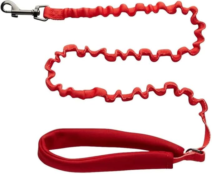 Travel Cat Harness and Bungee Leash Set - 2 in 1 Adjustable Escape Proof Cat Harness & Leash for Small, Medium, Large Cats, Kitten - Safe H-Style Cat Leash Harness for Outdoor Walking (Color Block)