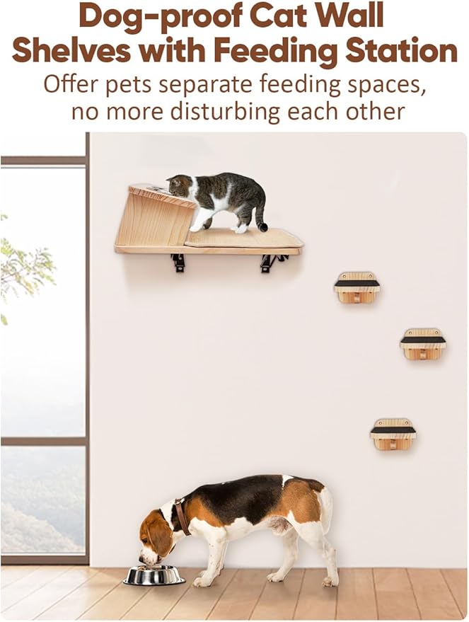 Cat Wall Shelves, Cat Shelves with 3 Cimbing Wall Steps & Cat Feeding Bowls Station, Cat Hammock and Perches for Wall, Cat Wall Furniture Set, Cat Climber Shelves Cat Scratching Post
