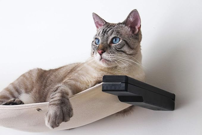 Catastrophic Creations Double Decker Cat Hammock – Wall Mounted Cat Tree with Hammock Perch – Cat Wall Hammock w/Canvas Fabric – Bamboo Cat Tower for Indoor Cats – Modern Cat Furniture