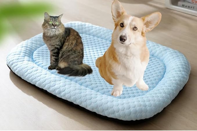 Pet Cooling Mat for Cats and Small Dogs, Self Cooling Fabric, Lightweight, Soft and Comfortable, Leak-Proof, Washable, Cozy Sleeping mat, Indoor/Outdoor (Blue, Medium)