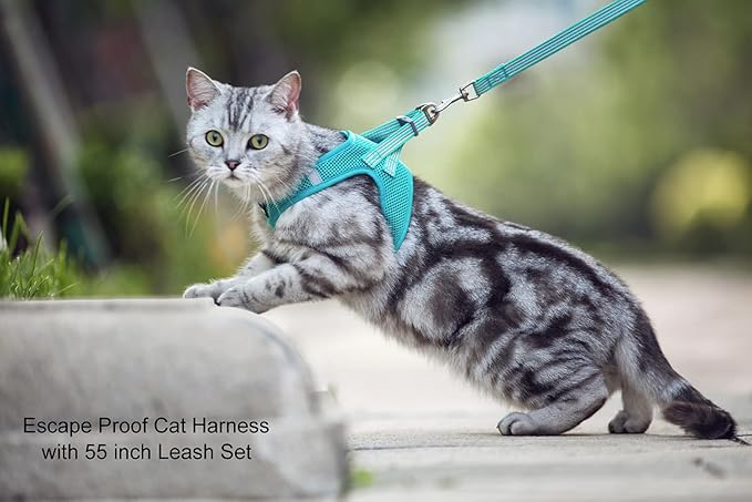 Cat Harness and Leash for Walking Escape Proof, Adjustable Soft S Chest: 12 - 14inch