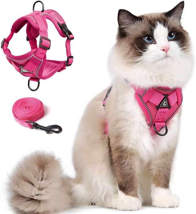 Cat Harness and Leash Set, Upgraded Escape Proof Adjustable Vest with Lead for Kitten Puppy Outdoor Walking, Soft Breathable Mesh Jacket with Reflective Strips for Dark Night (M, Rose Pink)