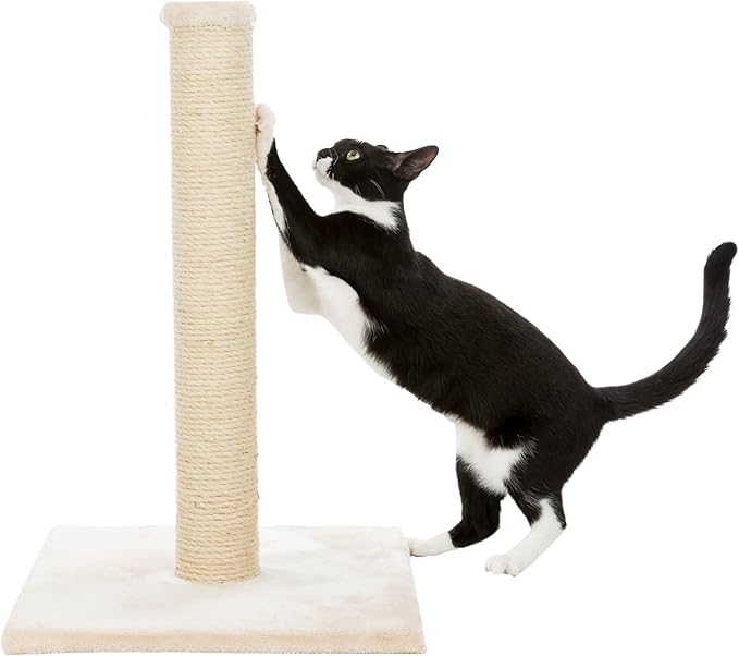 TRIXIE Parla Cat Scratching Post 24.4 Inch - Cat Scratcher with Soft Fabric Covering Base and Durable Sisal Rope - in Beige