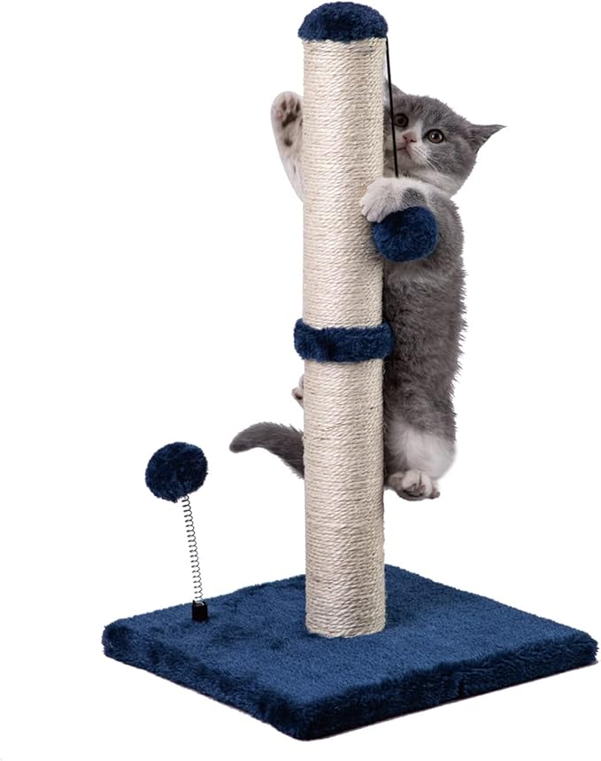 MECOOL Cat Scratching Post Premium Basics Kitten Scratcher Sisal Scratch Posts with Hanging Ball 22 in for Kittens or Smaller Cats (22 inches for Kitten, Navy)