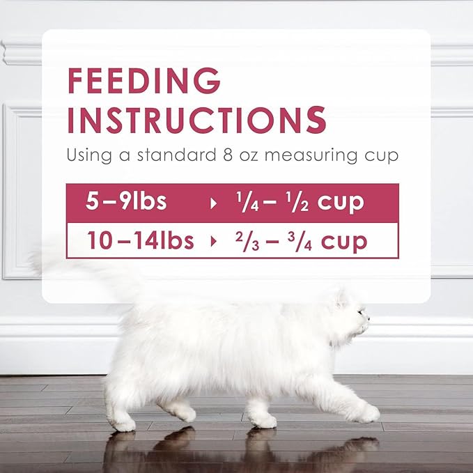 Aurora Pet Variety Pack (3) FF Gourmet Dry Cat Food (1) Filet Mignon (1) Ocean Fish & Salmon (1) Chicken & Turkey with AuroraPet Wipes
