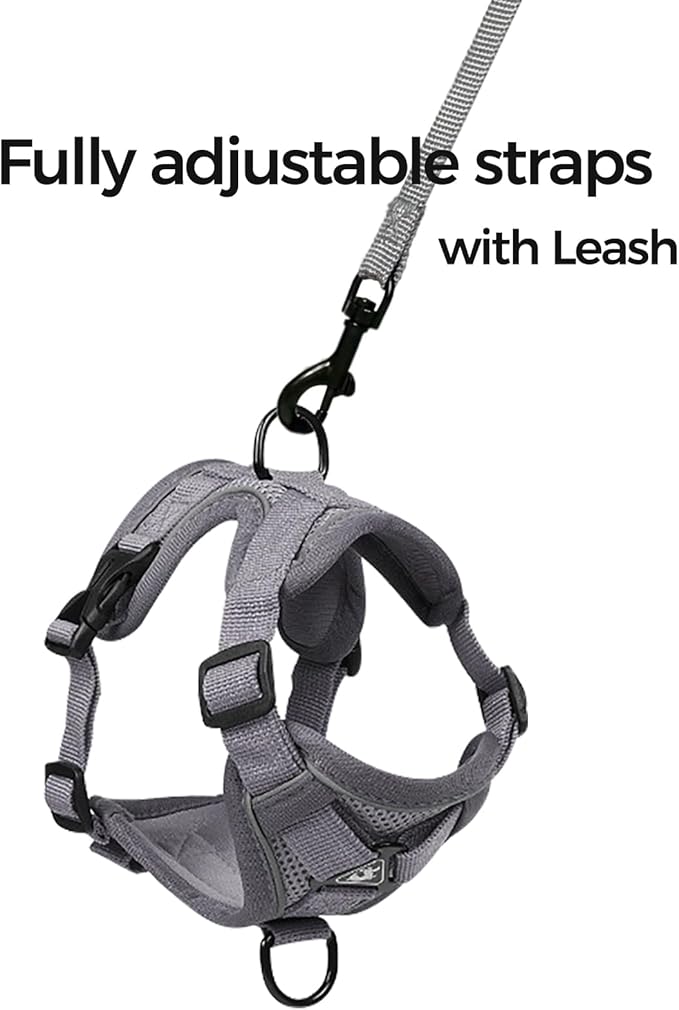 Cat Harness and Leash Set Escape Proof Tactical Extra Large Kitten Harness Emotional Support Cat Vest, Grey, XL