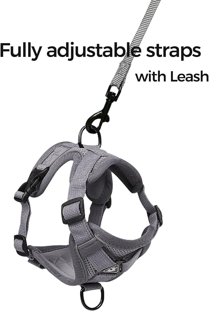 Cat Harness and Leash Set Escape Proof Tactical Small Kitten Harness Emotional Support Cat Vest, Grey, S