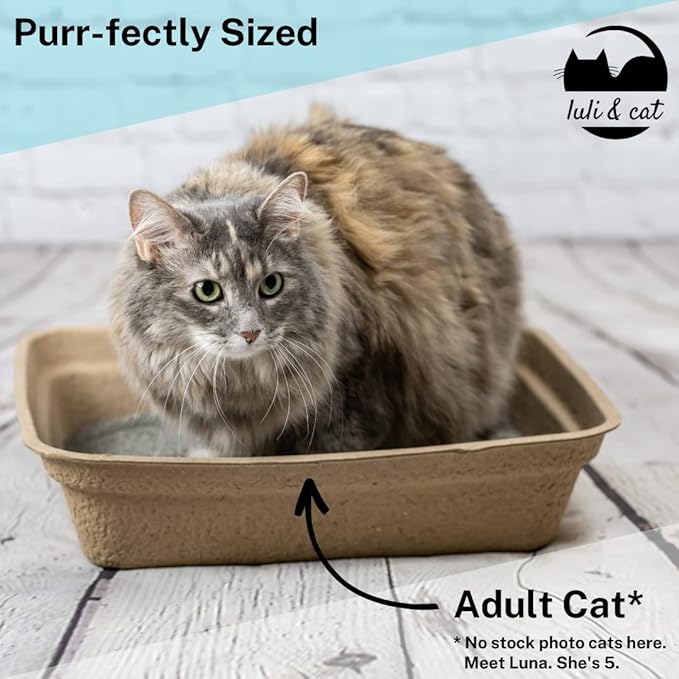 8-Pack Disposable Litter Boxes for Cats | Size Large | Durable and Water Resistant