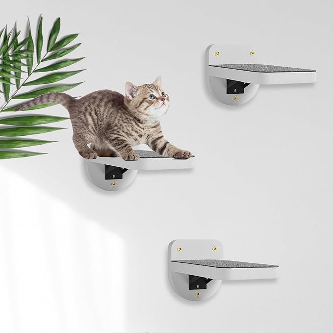 Set of 3 Natural Wood Cat Steps for Wall -Wall Mounted Cat Stairs Shelves, Cat Climbing Ladder, Cat Shelf and Perches for Wall - Holds up 30lbs