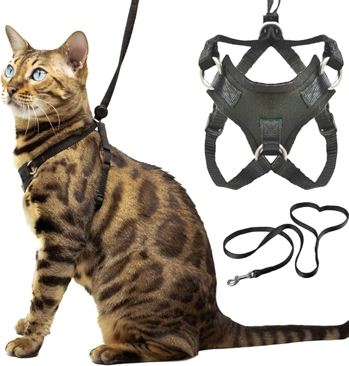 Houdini™ Escape Proof Cat Harness and Leash Set by OutdoorBengal for Walking Cats and Kittens (Soft Mesh, Medium Cat)