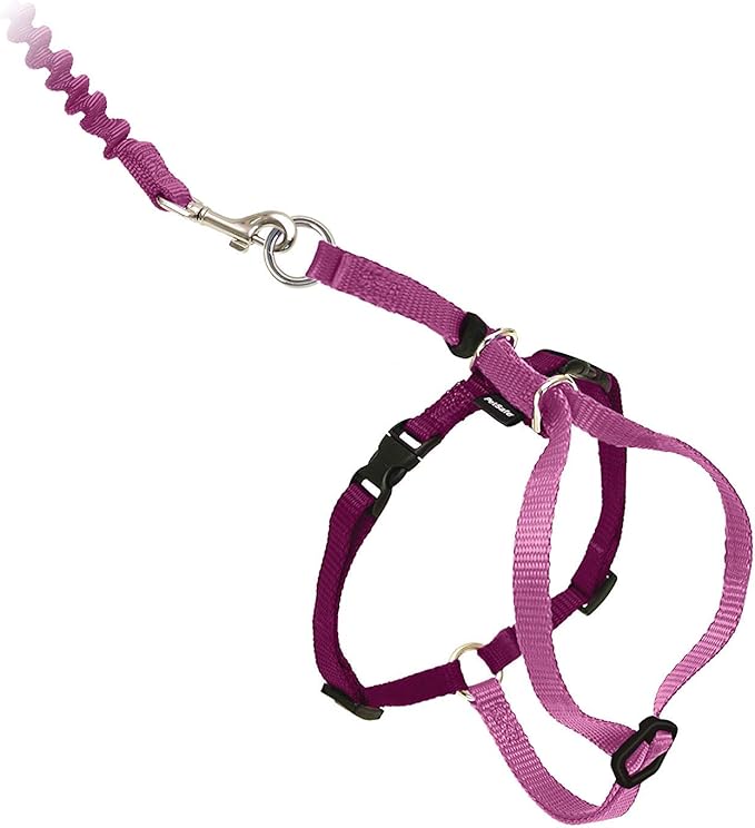 PetSafe Come with Me Kitty Harness and Bungee Leash, Large, Dusty Rose