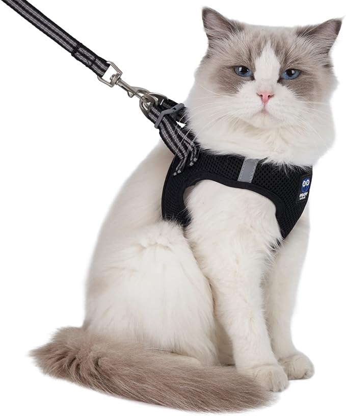 Cat Harness and Leash for Walking Escape Proof, Adjustable Soft Mesh Comfortable Vest Harnesses for Cats, Breathable Reflective Strips Easy to Put on Step-in Kitty Jacket (Black, M)