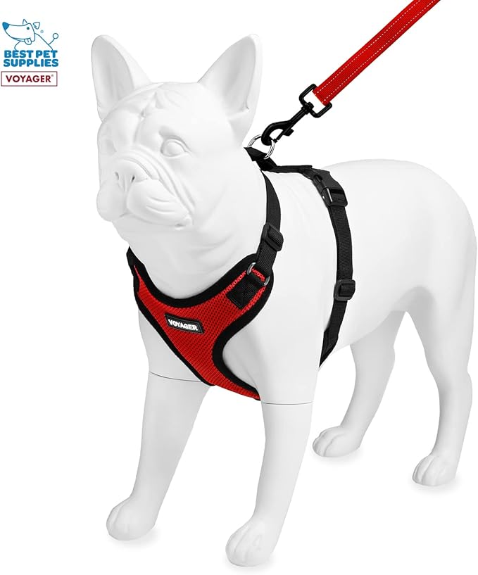 Voyager Step-in Lock Dog Harness w Reflective Dog Leash Combo Set with Neoprene Handle 5ft - Supports Small, Medium and Large Breed Puppies/Cats by Best Pet Supplies - Red/Black Trim, XS