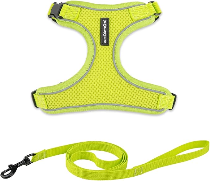Voyager Escape Proof Cat Harness and Leash Set with Reflective Stitching, Neoprene Handle 5ft - Supports Small, Medium and Large Cats, Kittens for Walking by Best Pet Supplies - Lime, XXXS