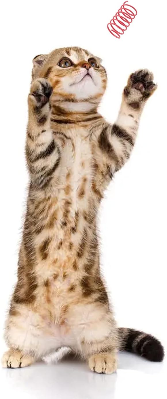 40 Pack Cat Spring Toys, Durable Plastic Coils for Indoor Active - Colorful 1 Inch Spirals Spring Fitness Play for Cat Kitten Pets (multicolor-40Pack)