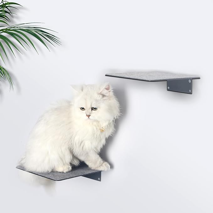 Cat Wall Shelves Climber Cat Shelf for Wall Cat Climbing Wall Mounted Cat Furniture 2 Set Cat Stairs Cat Steps Cat Ladder