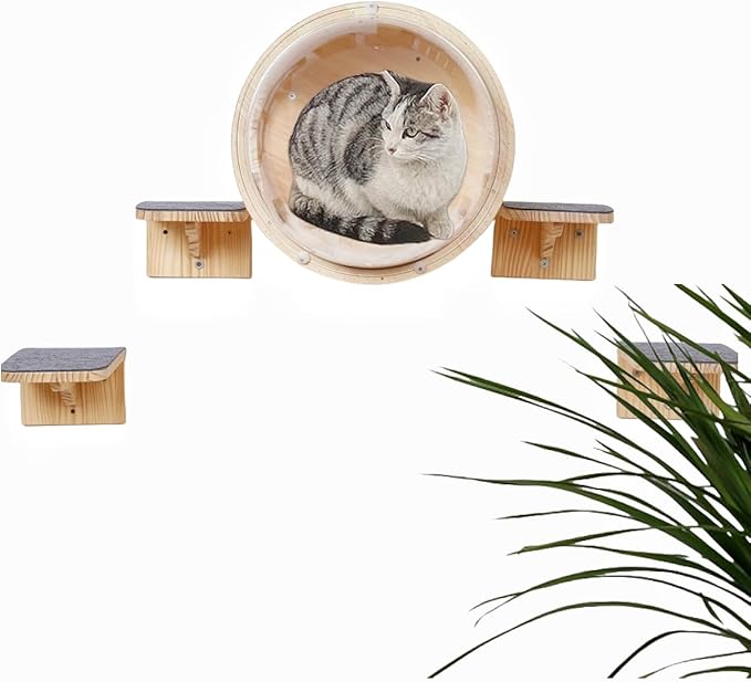 Wall-Mounted Cat Bed Furniture Round Space Capsule Acrylic Cat Perch Steps Cat Wooden Shelf Cat Lover Gift Cat Tree Tower-Classic Style-2
