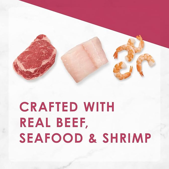 Aurora Pet Bundle Pack (4) FF Gourmet Dry Cat Food Filet Mignon Flavor with Real Seafood & Shrimp (16 oz. Bags) Plus AuroraPet Wipes