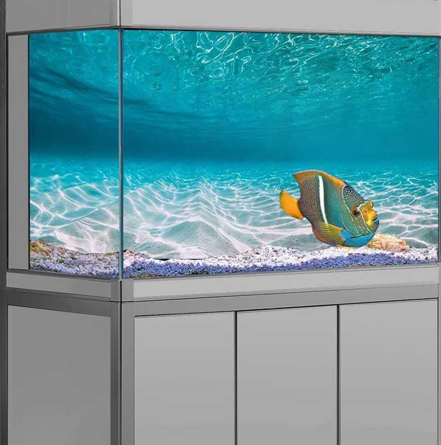 72X24IN Natural Undersea Aquarium Background, Undersea Beach Fish Tank Background, with 8 EVA Double-Sided Tape