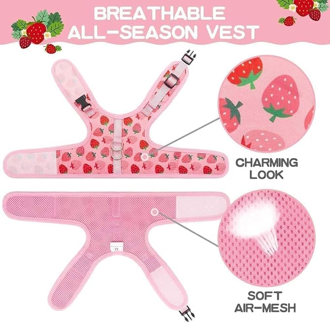 BINGPET Cat Harness with Leash Escape Proof - Fashionable Mesh Cat Dog Walking Harness Leads, Adjustable for Kitties Puppies Small Animals