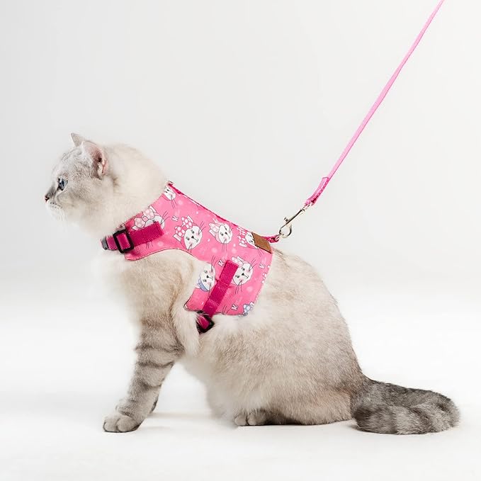 Cat Harness and Leash Set, Cats Escape Proof - Adjustable Kitten Harness for Large/Medium/Small Cats, Walking Travel Petsafe Harness (Pink Cat Pattern, Extra Small)