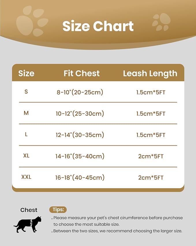 FAYOGOO Cat Harness and Leash Set for Walking Escape Proof, Kitten Harness and Leash Adjustable, Small Large Cat Walking Harness and Leash, Lightweight Soft Vest Harness and Leash (Large, Black)