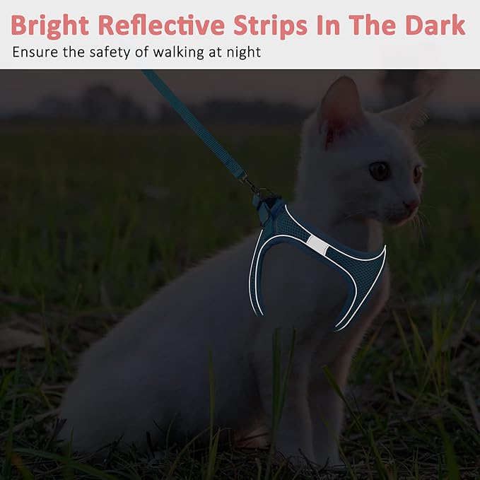 Cat Harness and Leash- Reflective Mesh Cat Vest for Walking Outdoor- Escape Proof Kitten Puppy Vest Harness -Comfort Fit, Lightweight, Easy Control (XXS, Blue),XX-Small