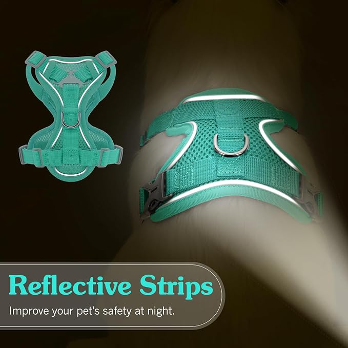 Cat Harness and Leash Set for Walking, Adjustable Kitten Vest Harness with Reflective Strip Breathable Mesh, Escape Proof Soft Pet Safety Vest for Cats, Kittens, Puppies, M, Lake Blue