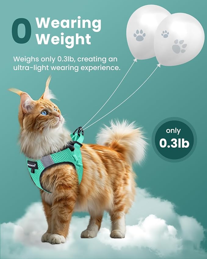 FAYOGOO Escape Proof, Kitten Harness and Leash Adjustable, Small Large Cat Walking, Lightweight Soft Vest Harness and Leash(Small, Green)