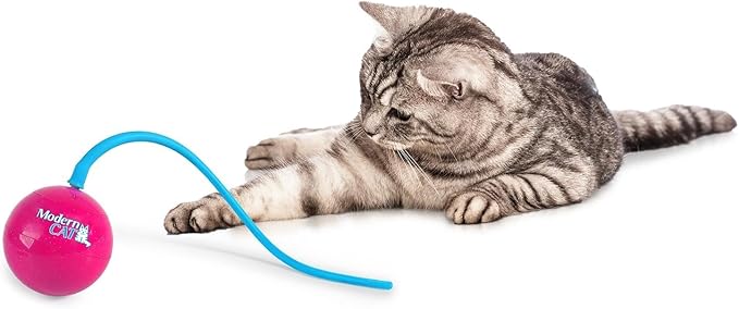 ALL FOR PAWS Interactive Cat Ball Toy