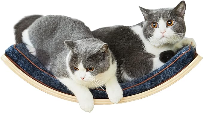 Cat Shelf with Comfortable Cat Cushion - Curved Modern Cat Bed (Large Size) - Lotus Leaf Design Cat Wall Perch - Wall Mounted Cat Furniture for Sleeping, Playing, Climbing, and Lounging