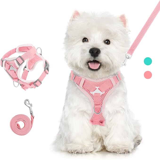 Cat Harness and Leash Set for Walking, Adjustable Kitten Vest Harness with Reflective Strip Breathable Mesh, Escape Proof Soft Pet Safety Vest for Cats, Kittens, Puppies, XL, Pink