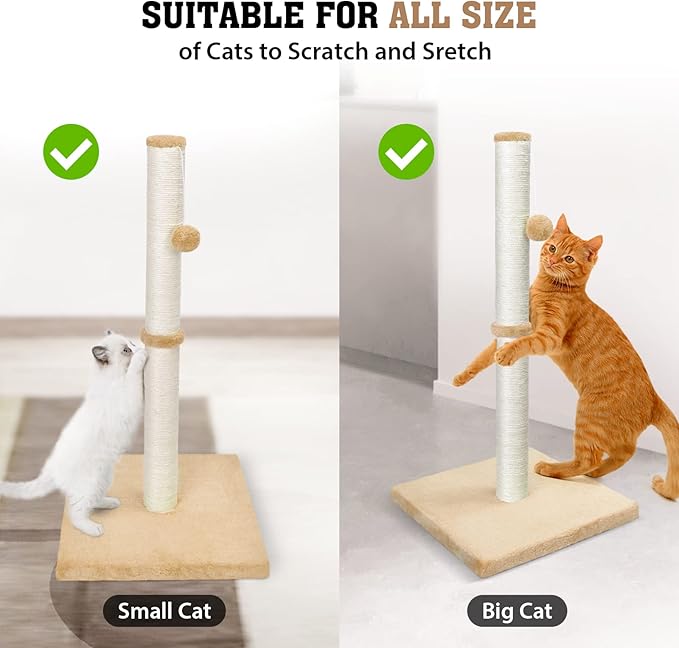 petellow 31'' Tall Cat Scratching Post - Cat Claw Scratcher with Hanging Ball - Scratching Posts for Indoor Large Cats - Durable Stable Cat Furniture with Sisal Rope - Cat Scratch Post - Beige