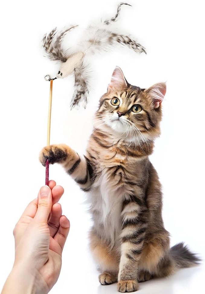 8 Pieces Cat Feather Toys Replacement Cat Toy Wand Refills Cat Toy Replacement Natural Bird Feathers for Cat Toys