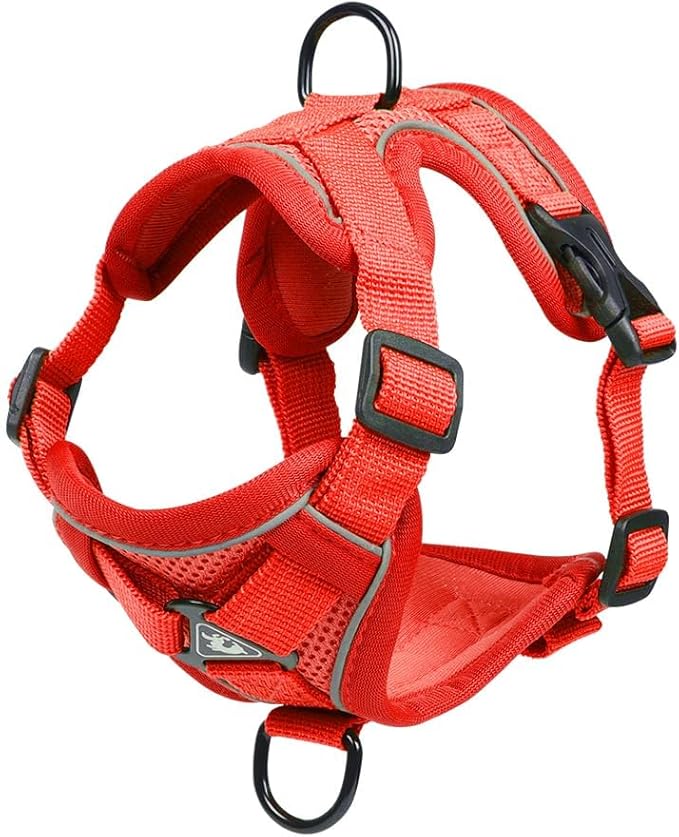Vest Harness Leash Set for Small Dog Large Cat, Upgraded Escape Proof Adjustable Jacket with Lead for Puppy Fat Cat Outdoor Walking, Soft Breathable Mesh Coat with Reflective Strip, XL Red