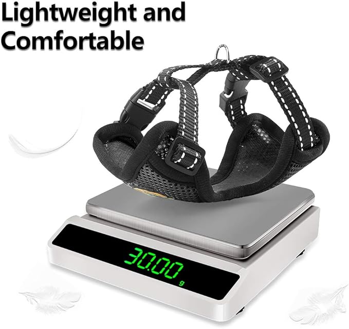 Reflective Kitten Harness and Leash Escape Proof with Car Seat Belt, Adjustable Cat Puppy Walking Jacket with Metal Leash Ring