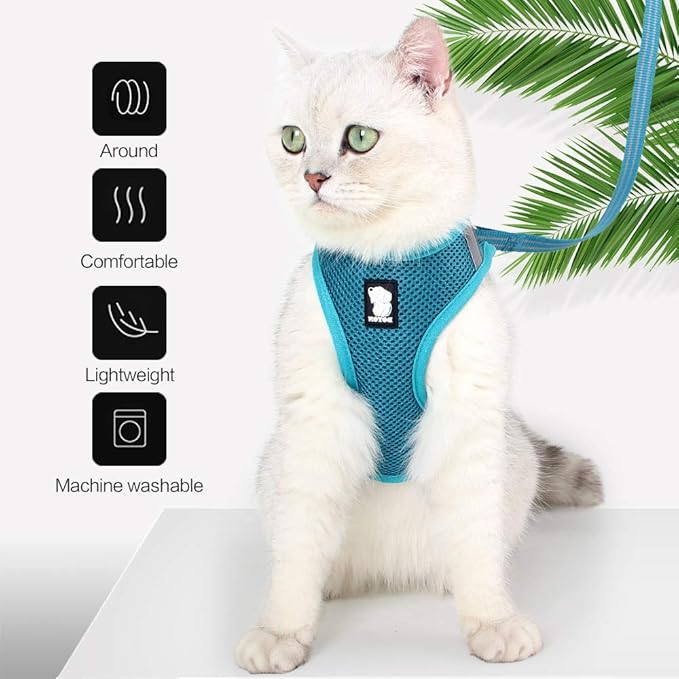 Heywean Cat Harness and Leash - Ultra Light Escape Proof Kitten Collar Cat Walking Jacket with Running Cushioning Soft and Comfortable Suitable for Puppies Rabbits (S, Turquoise)